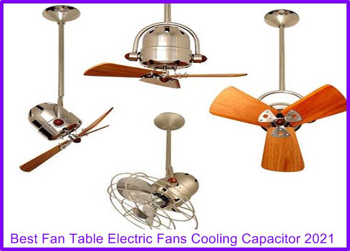 Fan